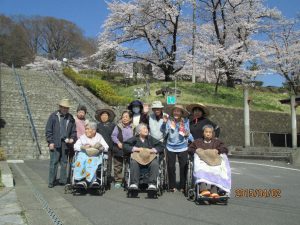 桜祭り嘉多山公園で散歩